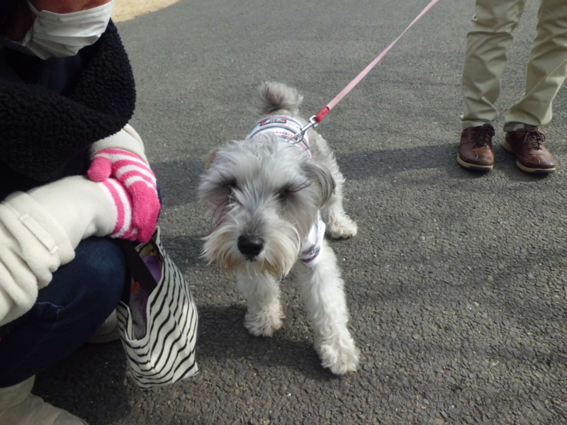 f:id:fukutani2323:20130303092854j:image:w360 f:id:fukutani2323:20130303092854j:image:w360