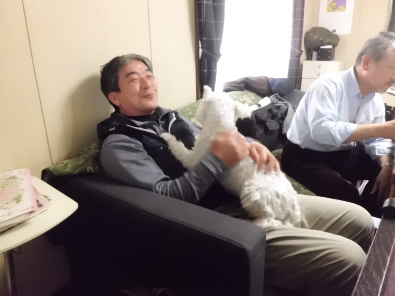 f:id:fukutani2323:20130316130937j:image:w360 f:id:fukutani2323:20130316130937j:image:w360