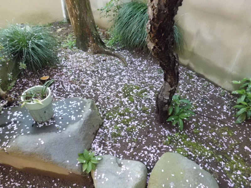 f:id:fukutani2323:20130319074045j:image:w360 f:id:fukutani2323:20130319074045j:image:w360