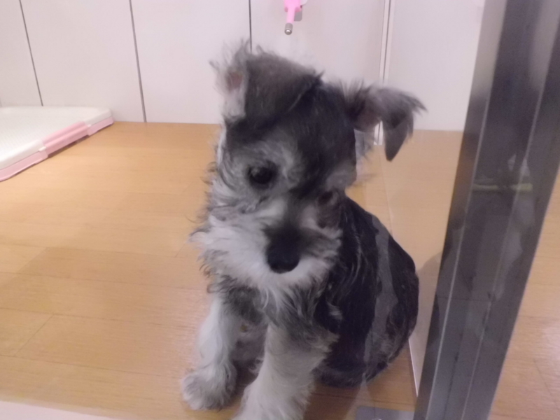 f:id:fukutani2323:20130324101009j:image:w360 f:id:fukutani2323:20130324101009j:image:w360