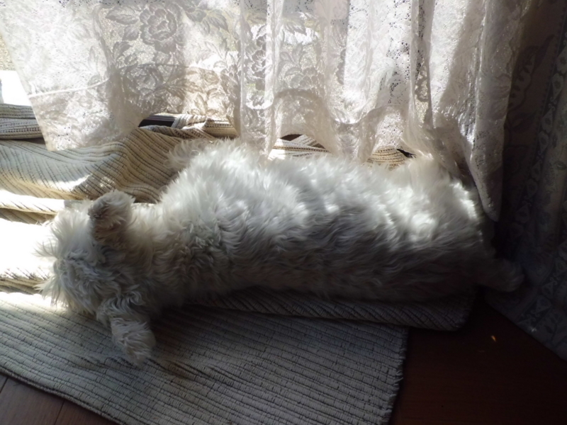 f:id:fukutani2323:20130413104453j:image:w360