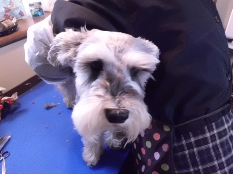 f:id:fukutani2323:20130414112737j:image:w360 f:id:fukutani2323:20130414112737j:image:w360