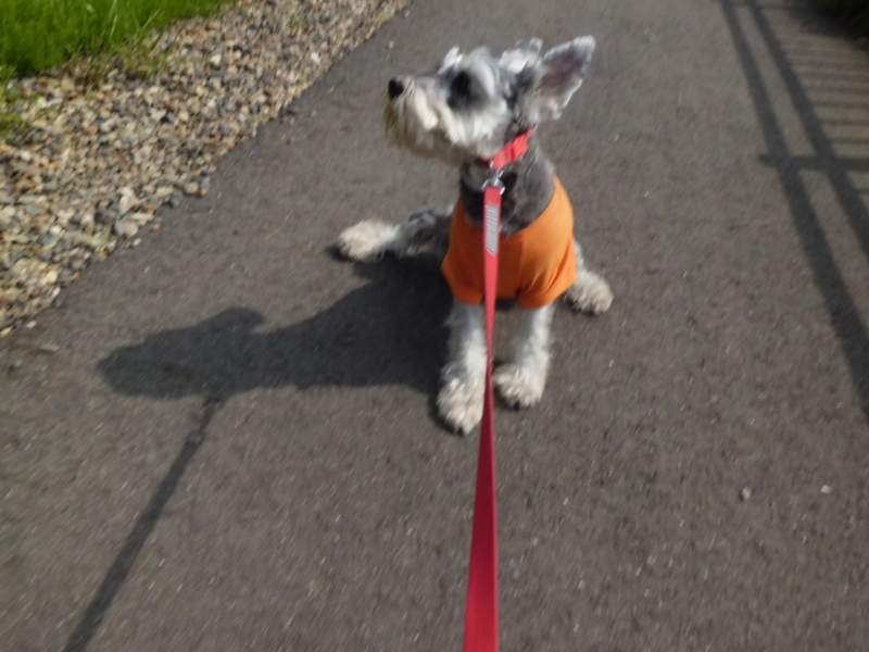 f:id:fukutani2323:20130429085241j:image:w230 f:id:fukutani2323:20130429085241j:image:w230