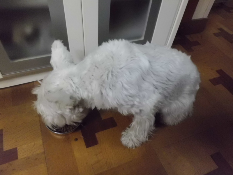 f:id:fukutani2323:20130507183757j:image:w360 f:id:fukutani2323:20130507183757j:image:w360