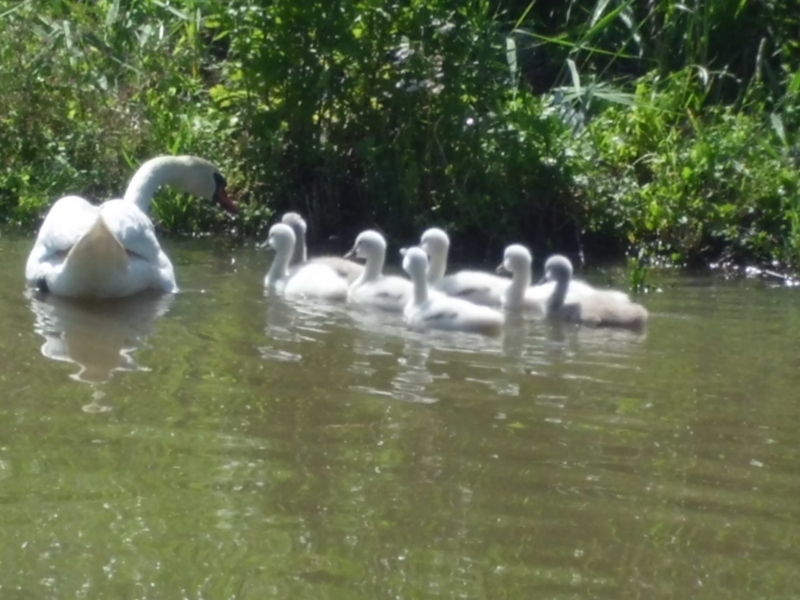 f:id:fukutani2323:20130531083636j:image:w230 f:id:fukutani2323:20130531083636j:image:w230