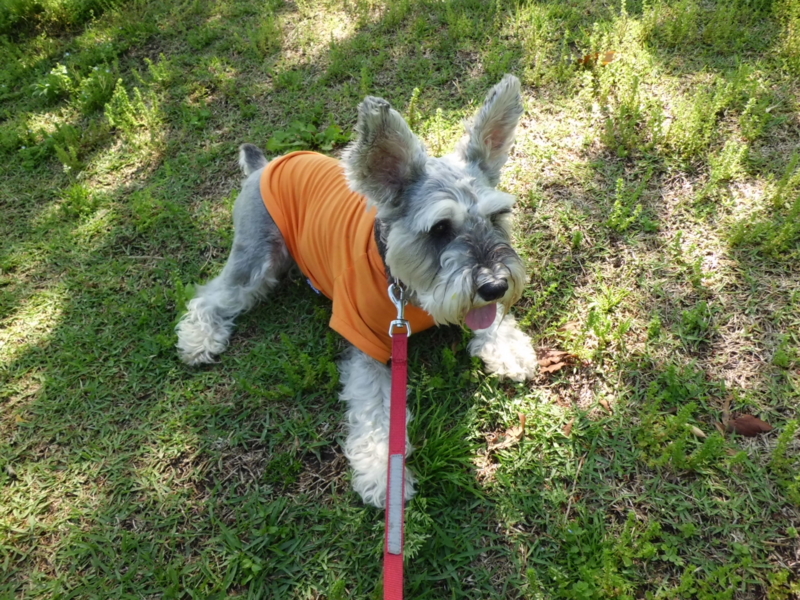 f:id:fukutani2323:20130531084222j:image:w360 f:id:fukutani2323:20130531084222j:image:w360