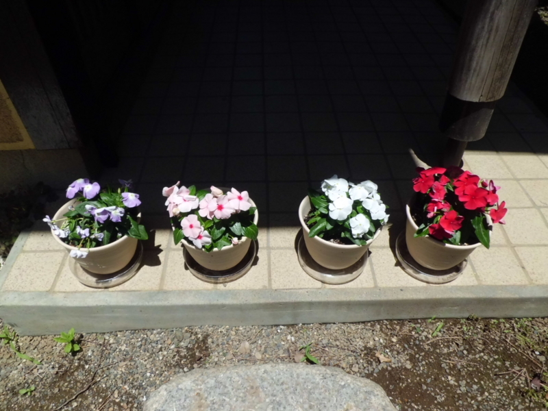 f:id:fukutani2323:20130531112706j:image:w230