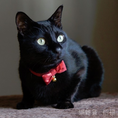 f:id:fukuten0:20170903212510j:plain