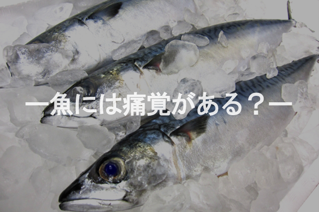 f:id:fukuten0:20171015030946p:plain