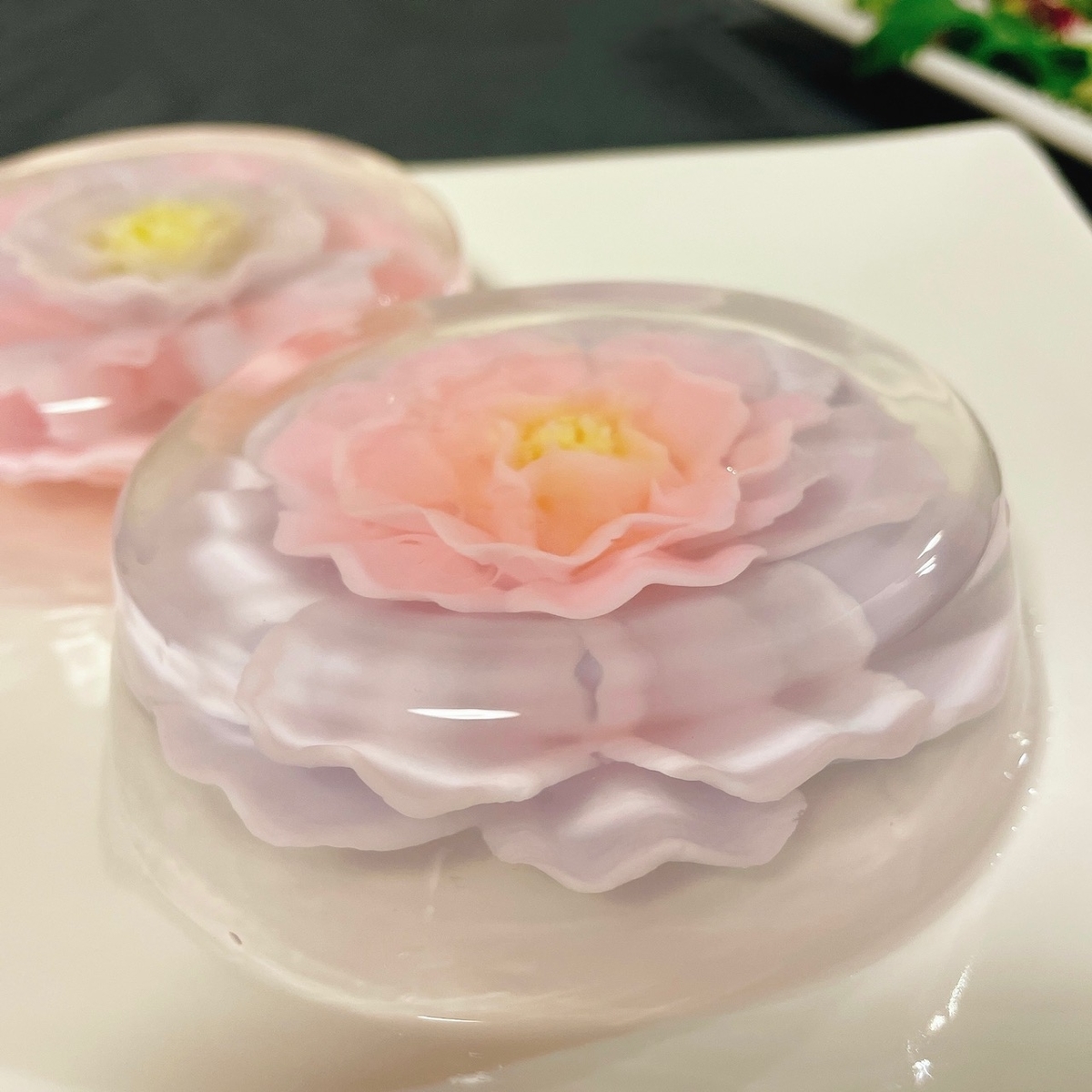 f:id:fukutsuno_toushi:20210503131028j:plain
