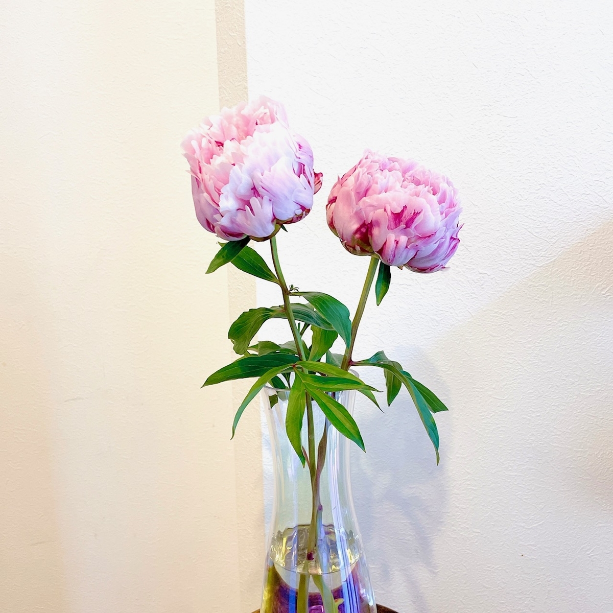 f:id:fukutsuno_toushi:20210521203403j:plain