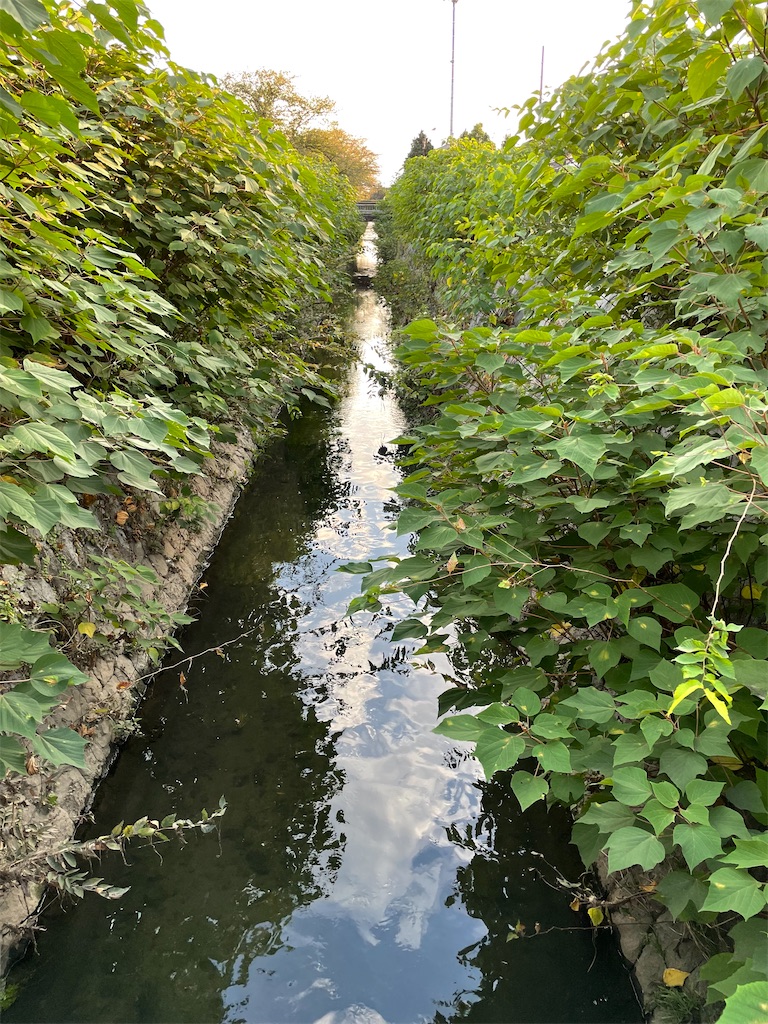 f:id:fukuwa-k:20211012195222j:image f:id:fukuwa-k:20211012195222j:image