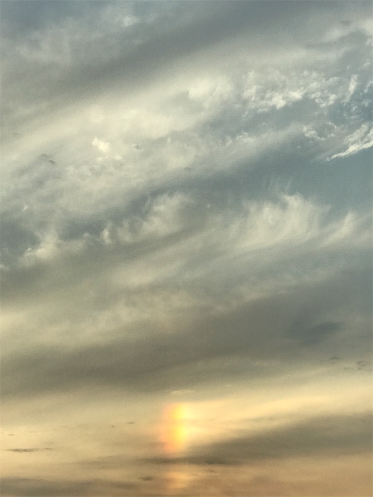 f:id:fukuyama-hanasou:20190123072448j:image f:id:fukuyama-hanasou:20190123072448j:image