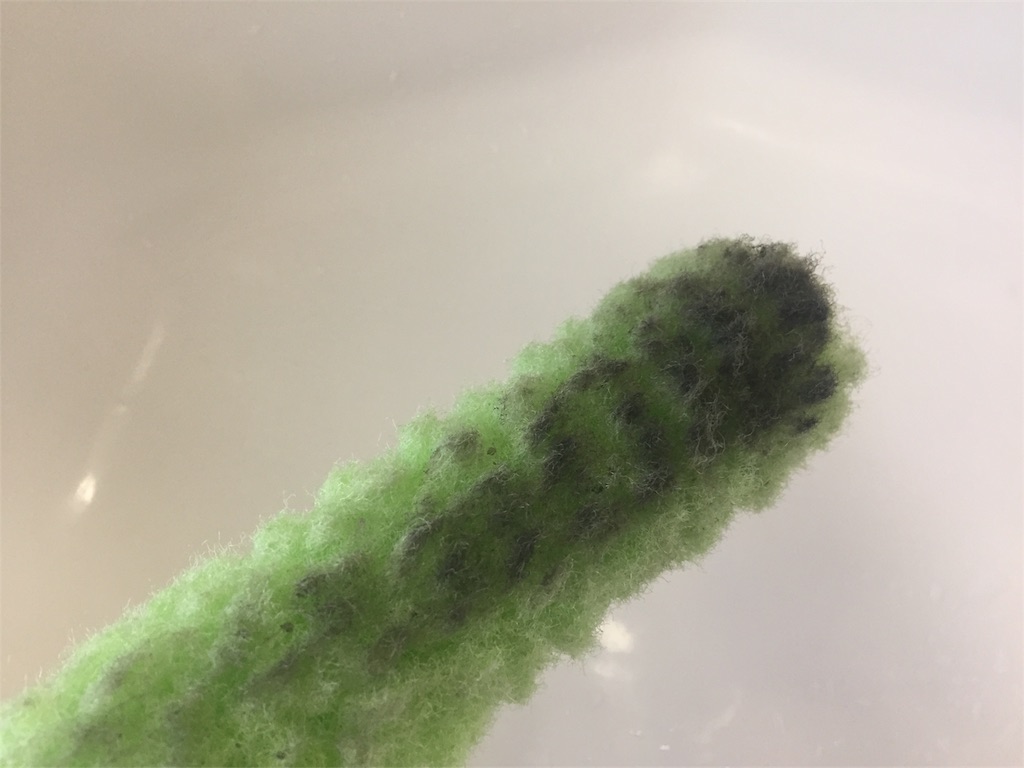 f:id:fukuyamalife:20180522103512j:image f:id:fukuyamalife:20180522103512j:image