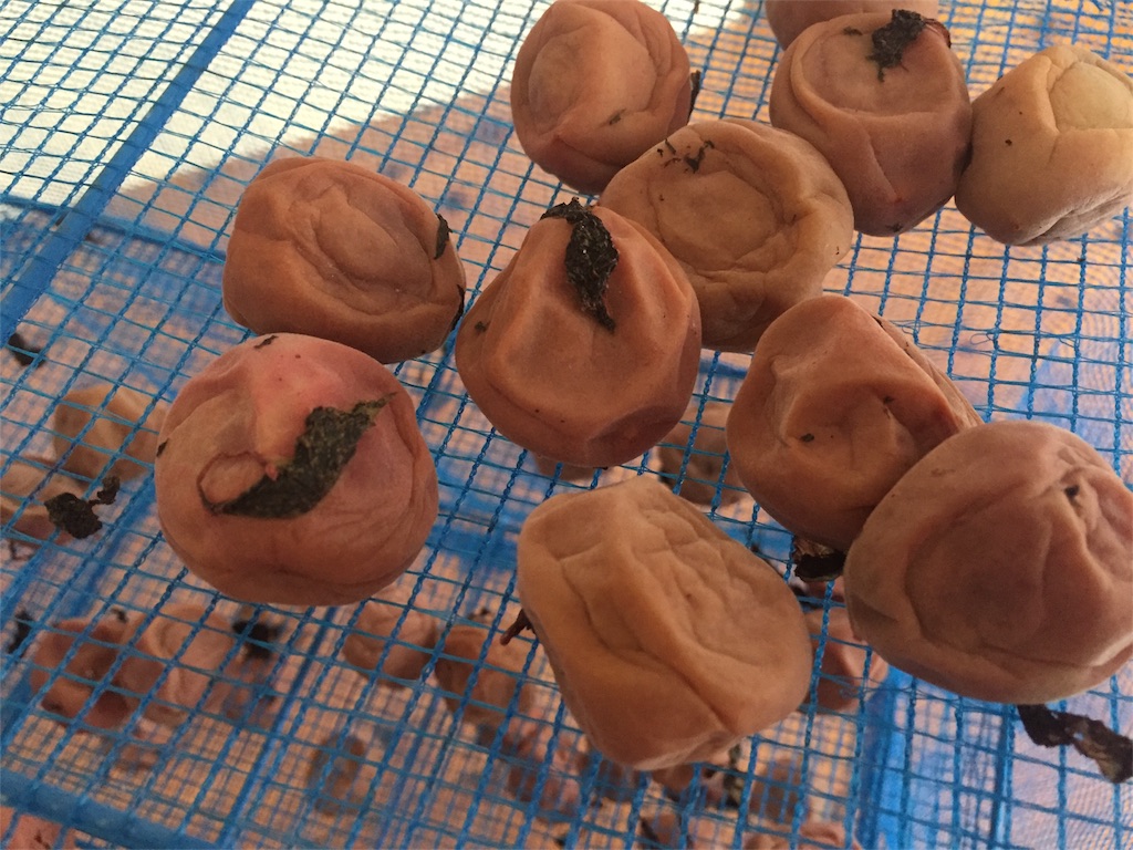f:id:fukuyamalife:20180726150727j:image f:id:fukuyamalife:20180726150727j:image