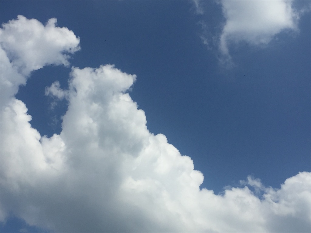 f:id:fukuyamalife:20180801144807j:image f:id:fukuyamalife:20180801144807j:image