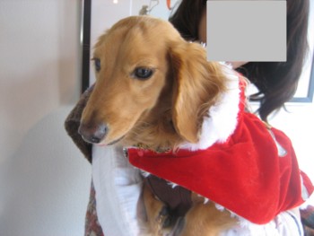 f:id:fukuyuzu:20120112225715j:image
