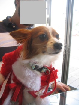 f:id:fukuyuzu:20120112225716j:image