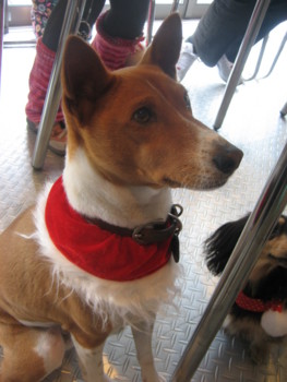 f:id:fukuyuzu:20120112225722j:image