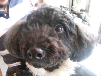 f:id:fukuyuzu:20120112225724j:image