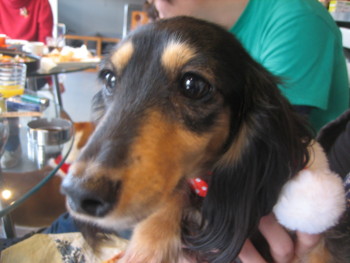 f:id:fukuyuzu:20120112225726j:image