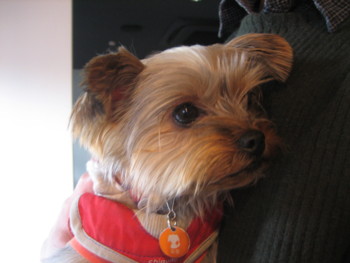 f:id:fukuyuzu:20120112225727j:image