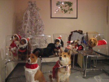 f:id:fukuyuzu:20120112225731j:image