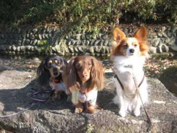 f:id:fukuyuzu:20120308212635j:image