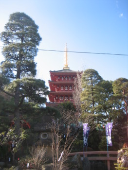 f:id:fukuyuzu:20120308212639j:image