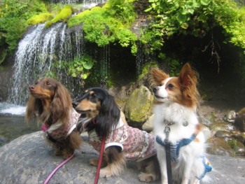 f:id:fukuyuzu:20121012211838j:image