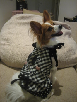 f:id:fukuyuzu:20121012211843j:image