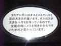 20051023161102
