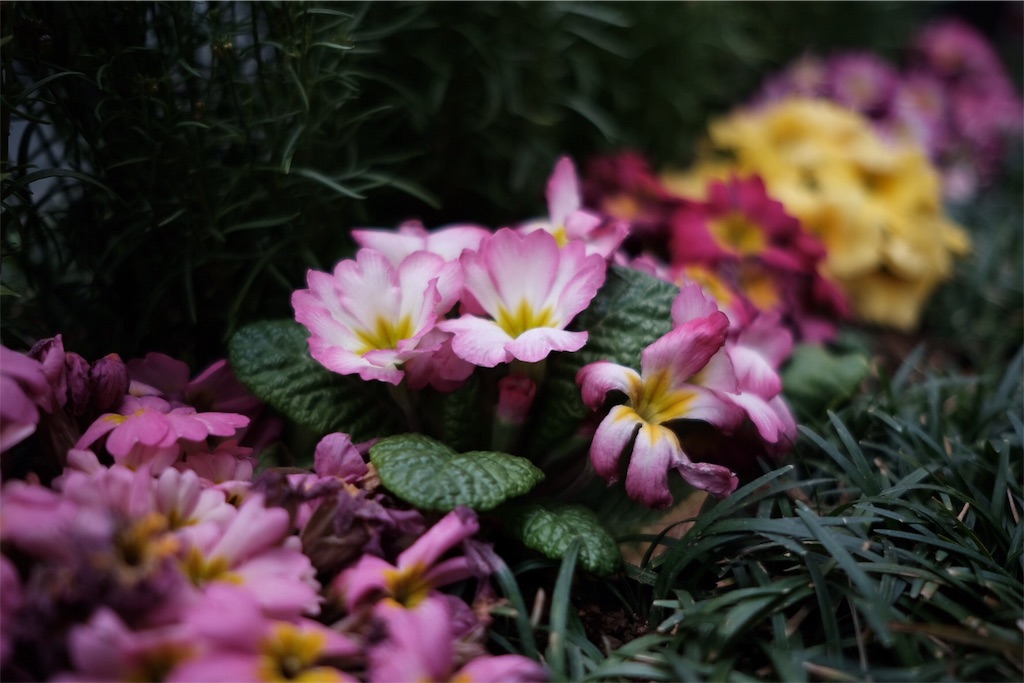 f:id:fulfill-santos:20180308200337j:image