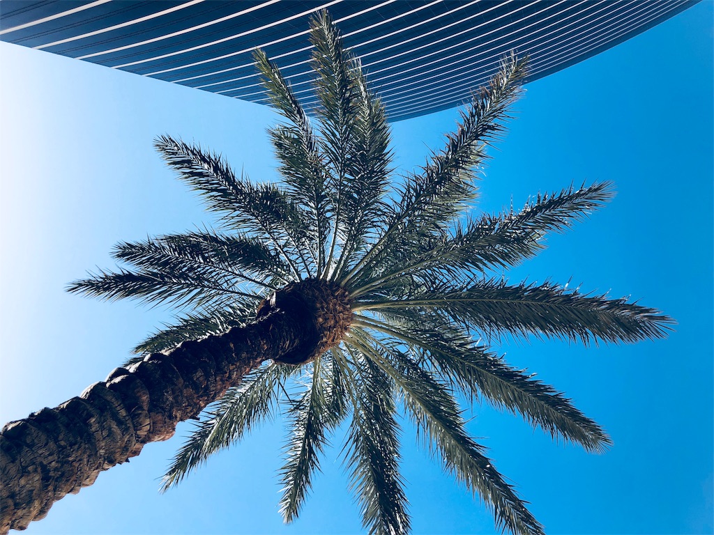 f:id:fulfill-santos:20180409033728j:image