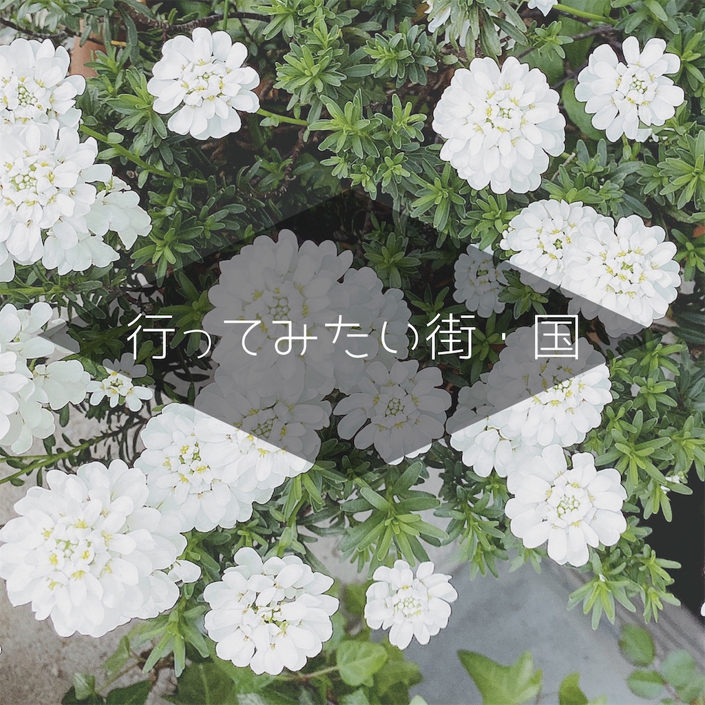 f:id:fulfulfulugi:20210416161531j:image