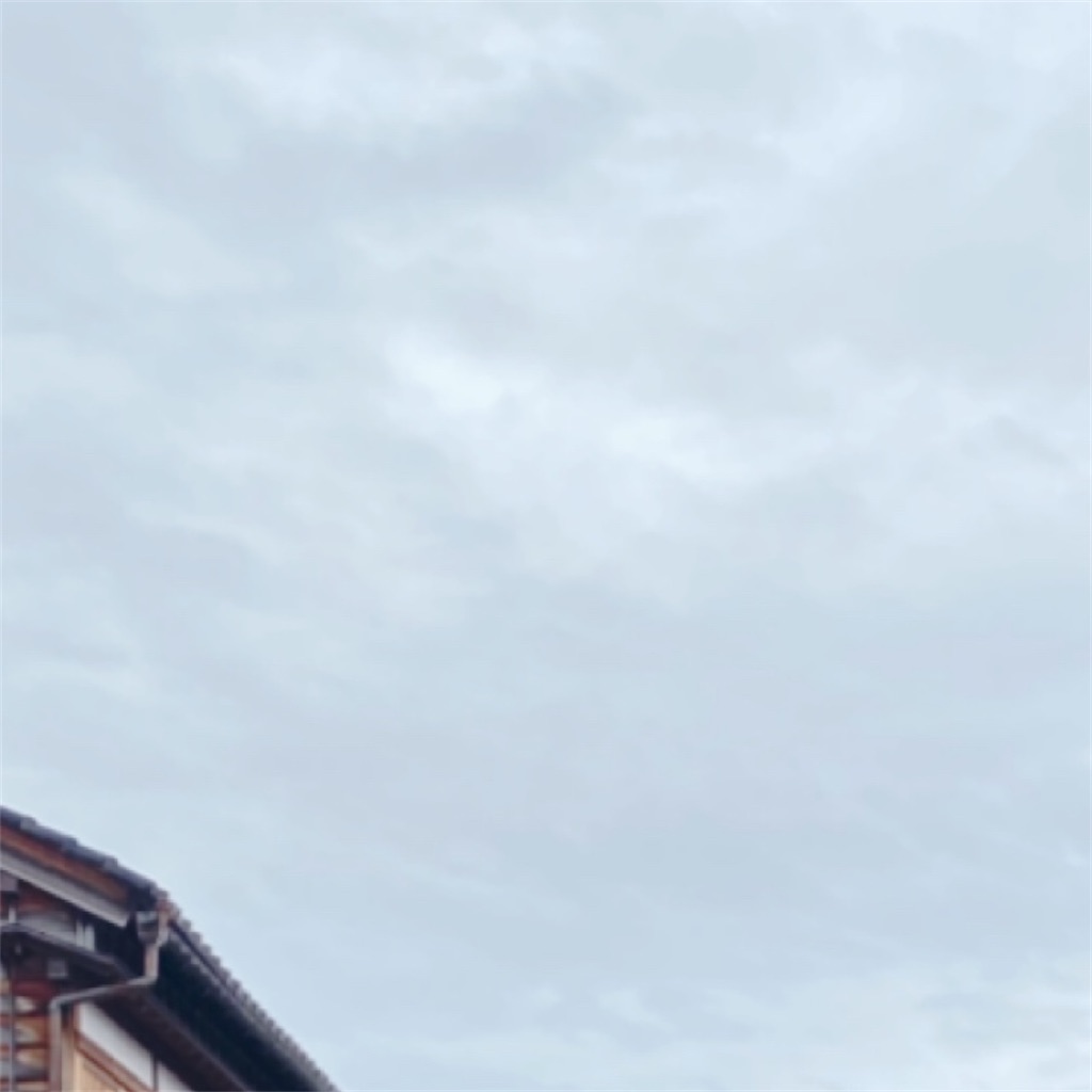 f:id:fulfulfulugi:20210629235007j:image