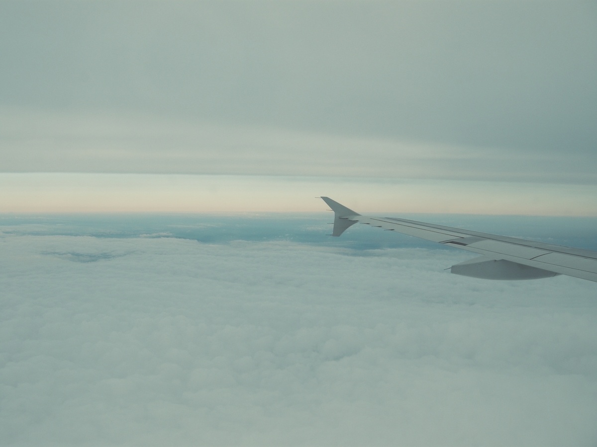 f:id:fullofquestions:20200621155715j:plain