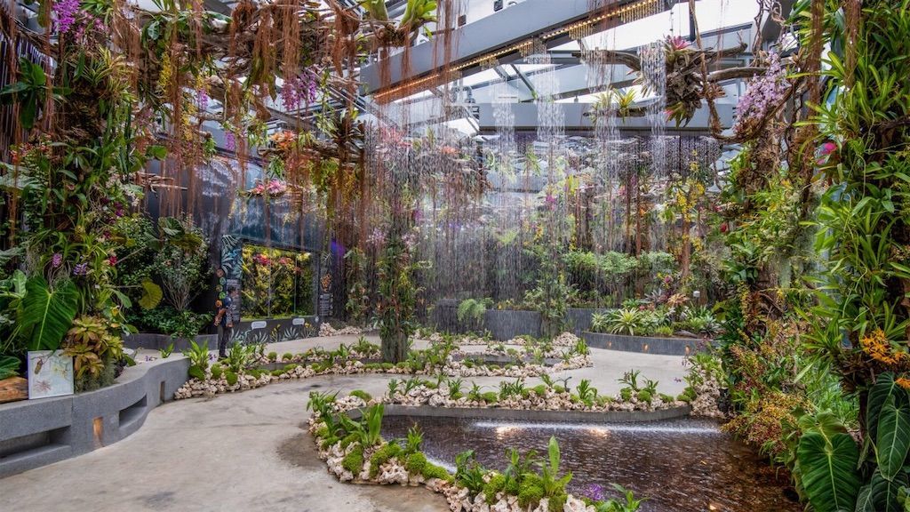 ガーデンズバイザベイまとめ 見どころ 料金 割引チケット 所要時間を解説 ダーウィンの足跡