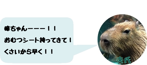 f:id:fulmoon3002:20170227170242j:plain f:id:fulmoon3002:20170227170242j:plain