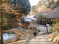 20120101155356