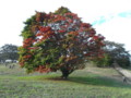 20141012152454