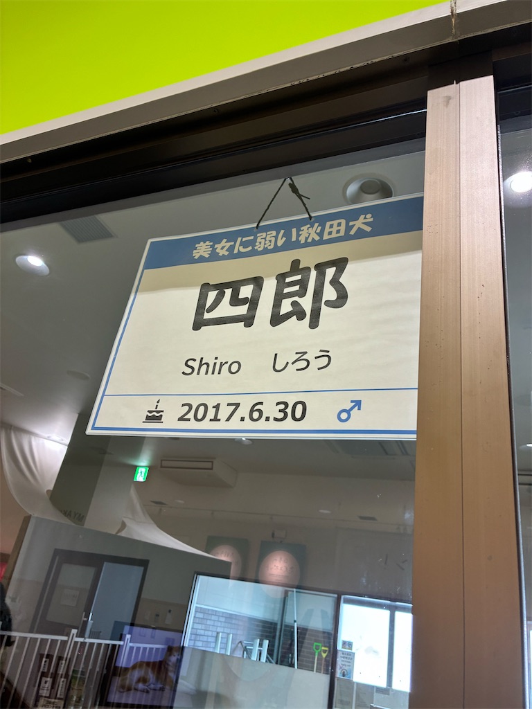 f:id:fumfumz:20260225220457j:image