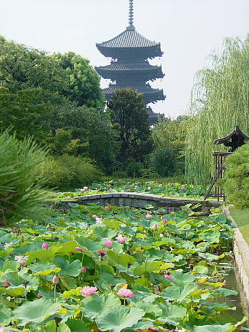 f:id:fumi3_5:20100821080332j:image