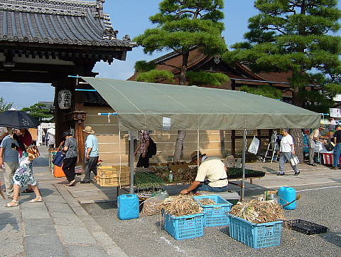 f:id:fumi3_5:20100821085158j:image