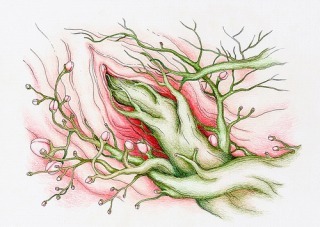 f:id:fumi_o:20070829194610j:image