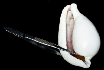 f:id:fumi_o:20090708104120j:image