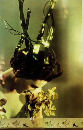 f:id:fumi_o:20091121232940j:image