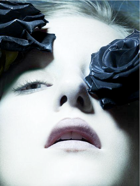 f:id:fumi_o:20101204123251p:image