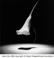 f:id:fumi_o:20120917201124j:image:right