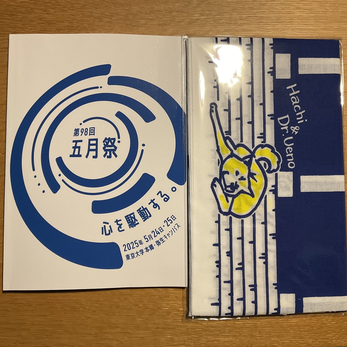 東大五月祭へ行ってきました - 考えるお母さん**大学受験を見守る